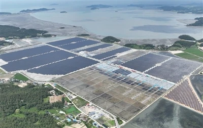 Dél -Korea 1 GW -os napenergia -pályázatot indít szigorúbb szén -dioxid -szab...